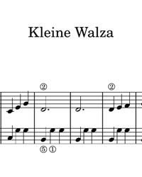 Sheet music and midi files for piano. Small Waltzes.