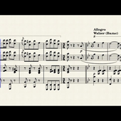 Potpourri from the operetta "The Bat" - Johann Strauss