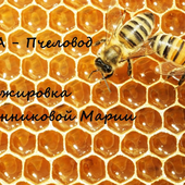 A Beekeeper - Rasa